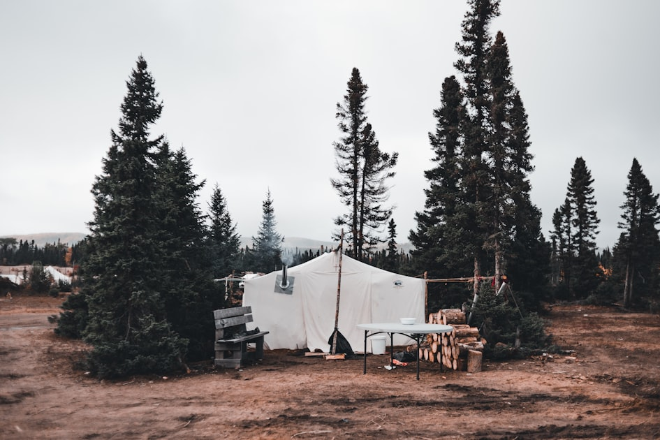 Archery Basics for Beginners