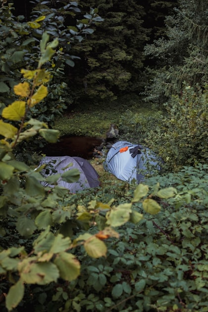 The Benefits of Qigong